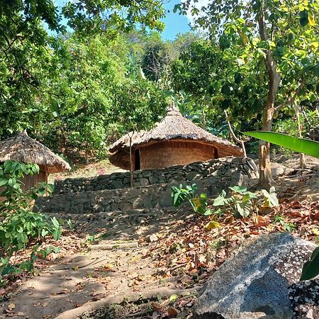 Hebergement Prive Dans La Jungle Avec Cascade Et Vue Mer! Villa Minca Eksteriør bilde