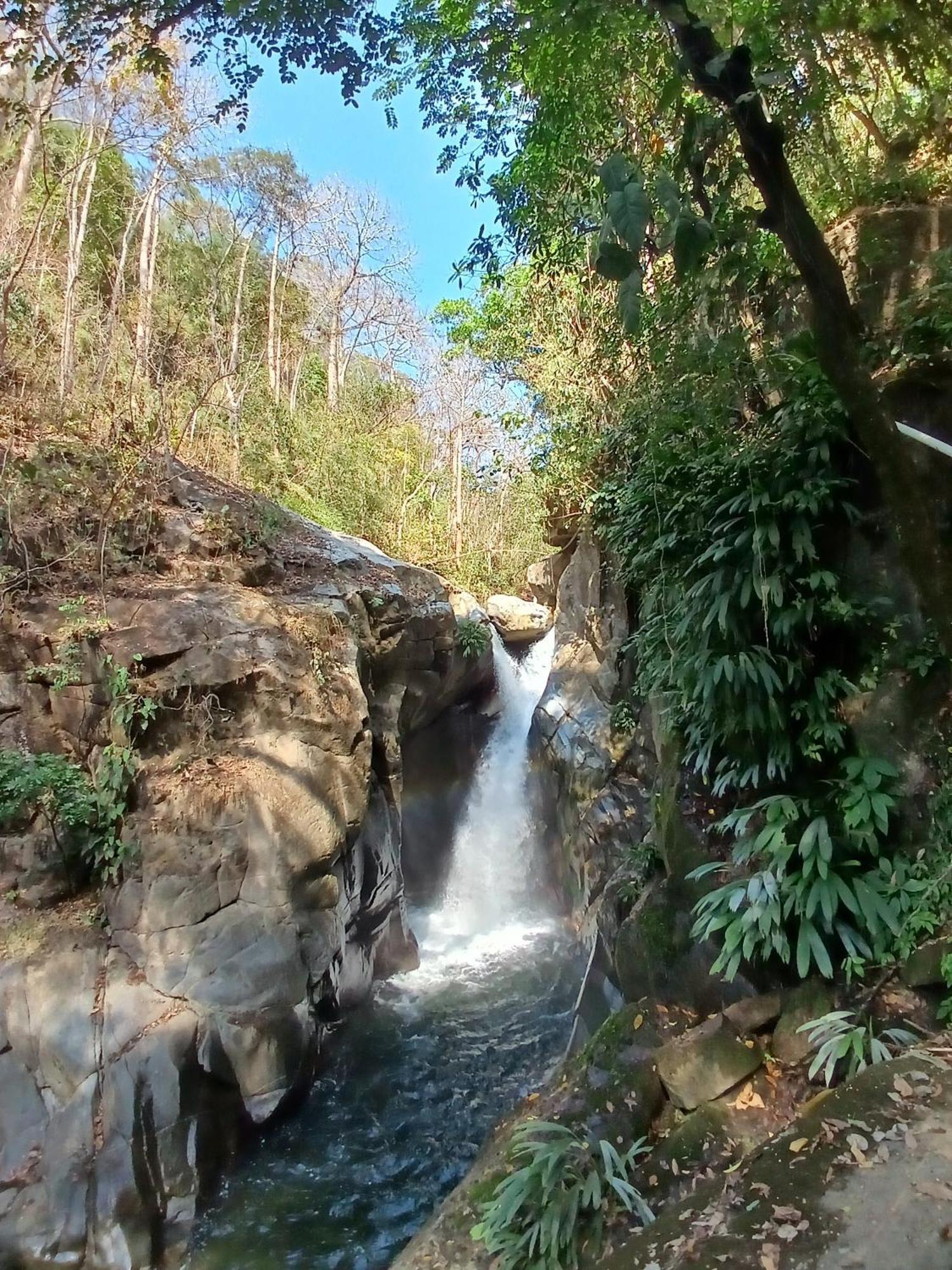 Hebergement Prive Dans La Jungle Avec Cascade Et Vue Mer! Villa Minca Eksteriør bilde