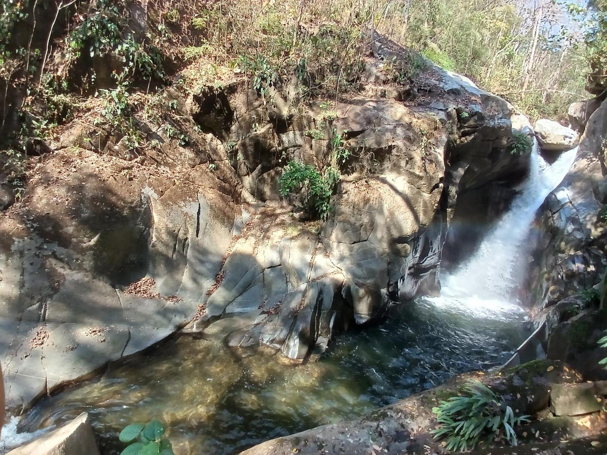 Hebergement Prive Dans La Jungle Avec Cascade Et Vue Mer! Villa Minca Eksteriør bilde