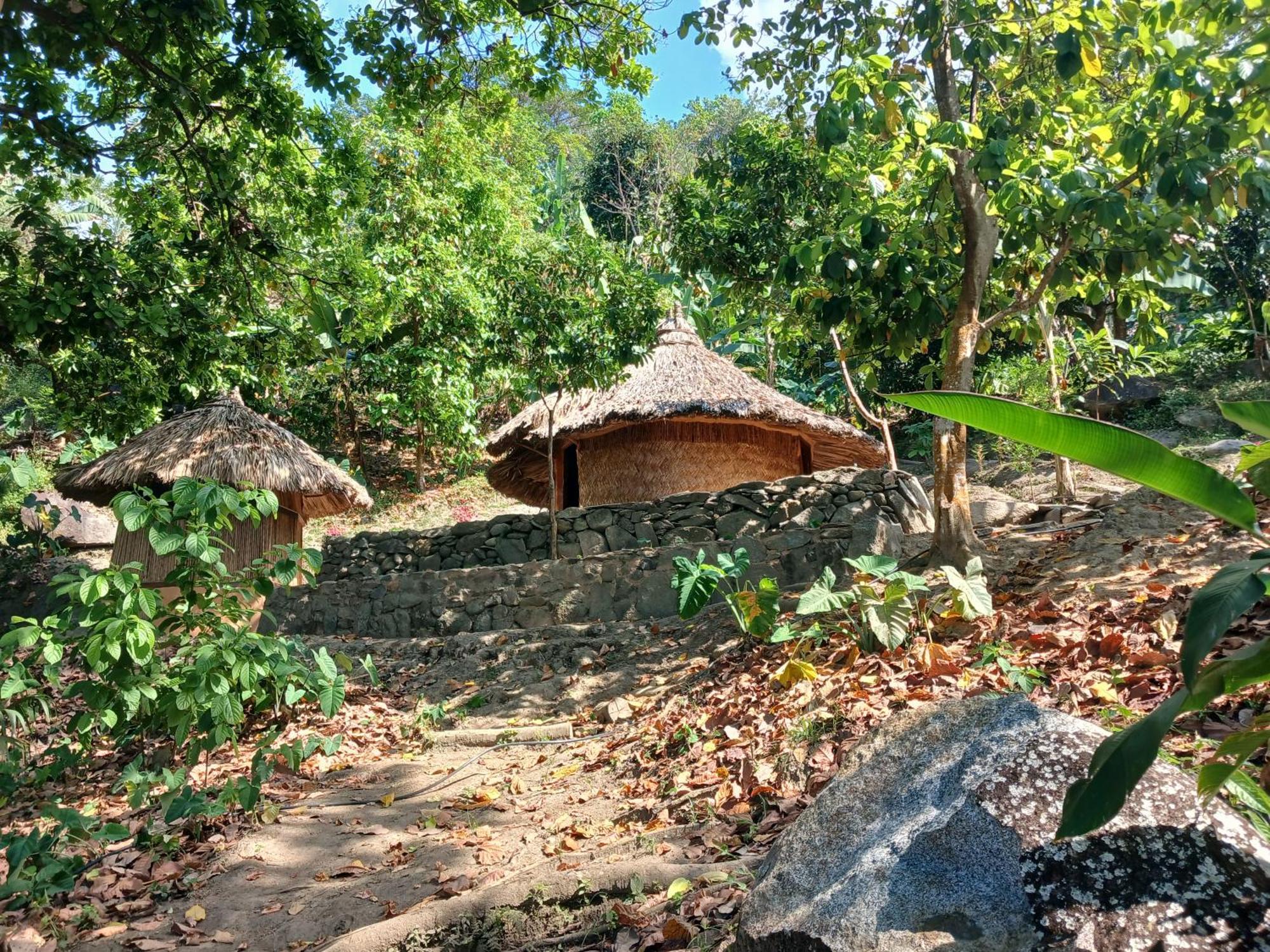 Hebergement Prive Dans La Jungle Avec Cascade Et Vue Mer! Villa Minca Eksteriør bilde