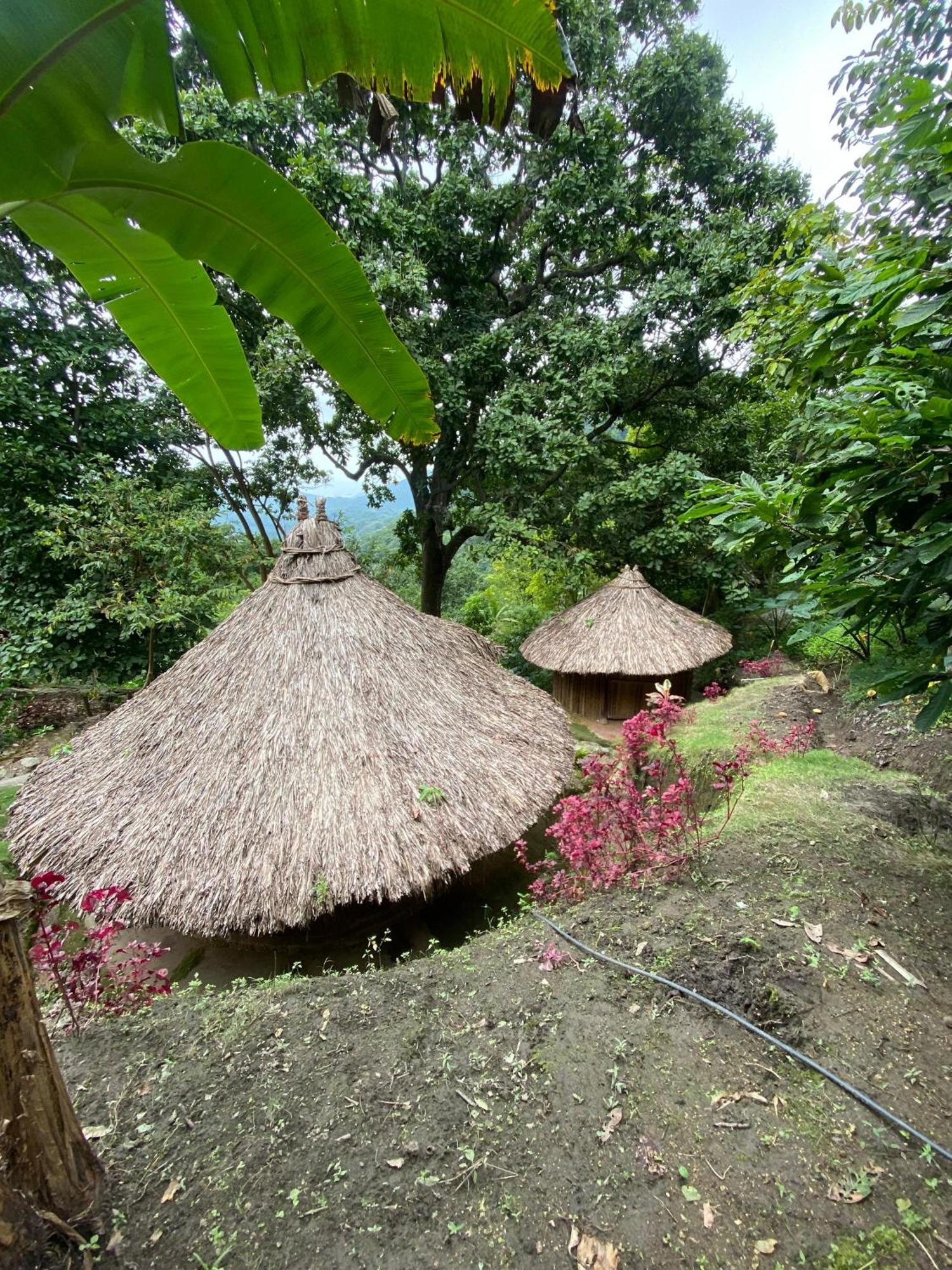 Hebergement Prive Dans La Jungle Avec Cascade Et Vue Mer! Villa Minca Eksteriør bilde