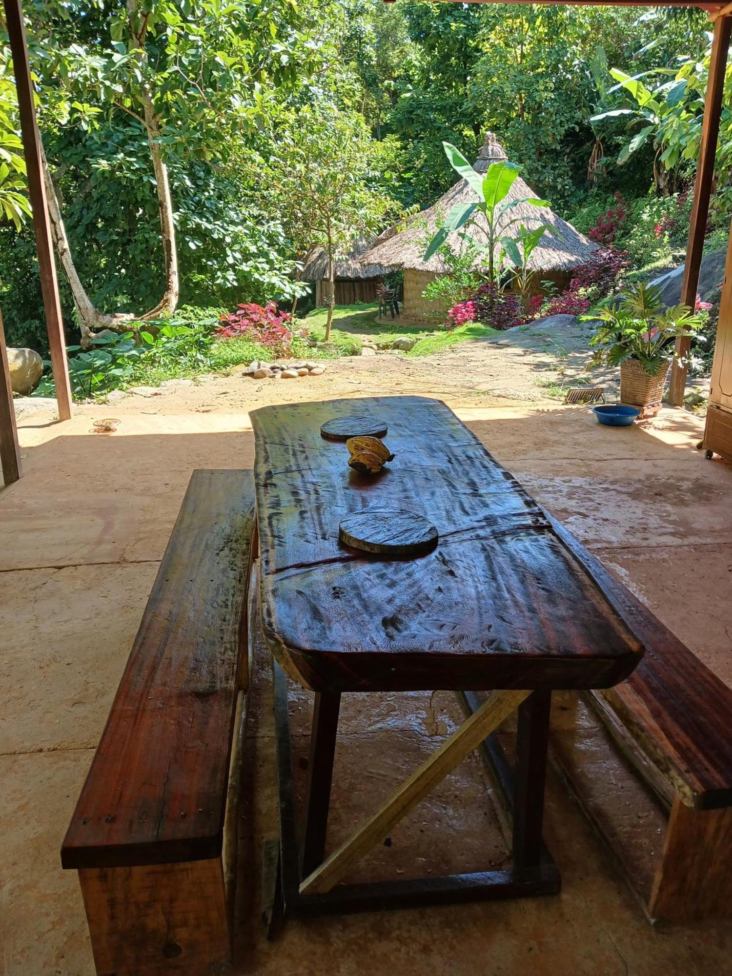 Hebergement Prive Dans La Jungle Avec Cascade Et Vue Mer! Villa Minca Eksteriør bilde